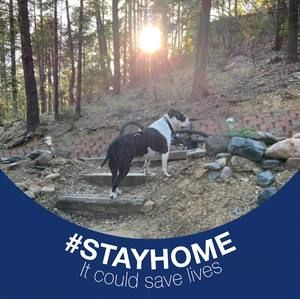 Meet your Posher, Cherlyn